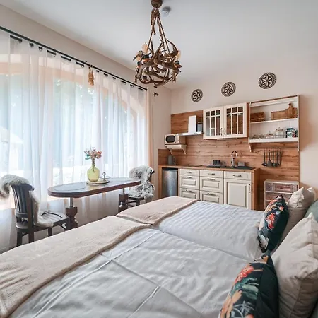 Rich Witch Villa&spa 2* Kościelisko