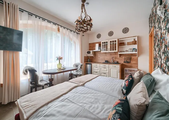 Rich Witch Villa&spa 2* Kościelisko